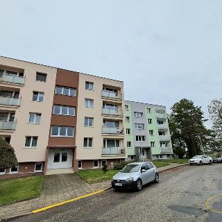 Prodej bytu 3+1 89 m² Jemnice, U Víta