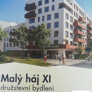 Prodej bytu 1+kk a garsoniéry 36 m² Praha, Kardausova