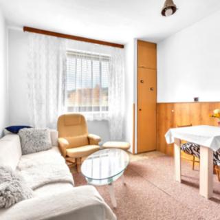 Prodej bytu 2+kk 41 m² Mladkov