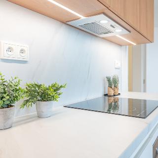 Prodej bytu 1+kk a garsoniéry 33 m² Svitavy, Říční