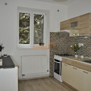 Pronájem bytu 3+1 59 m² Bílovice nad Svitavou, Havlíčkova