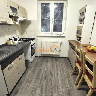 Pronájem bytu 3+1 59 m² Bílovice nad Svitavou, Havlíčkova