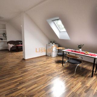 Pronájem bytu 2+kk 59 m² Brno, Pěšina