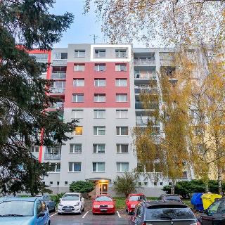 Pronájem bytu 1+1 39 m² Plzeň, Žlutická