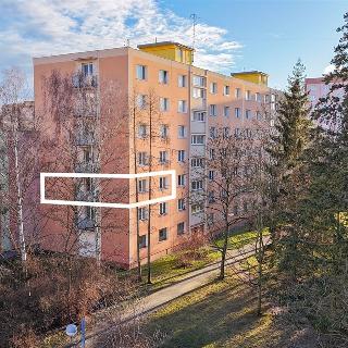 Prodej bytu 3+1 78 m² Plzeň, Družby