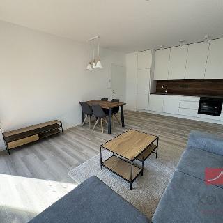 Pronájem bytu 1+kk a garsoniéry 36 m² Humpolec, Na Skalce