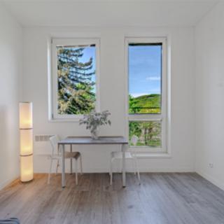 Prodej bytu 1+kk, garsoniery 18 m² Sázava