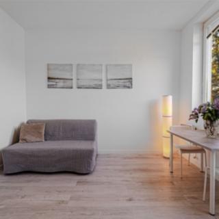 Prodej bytu 1+kk a garsoniéry 18 m² Sázava, Poznaňská