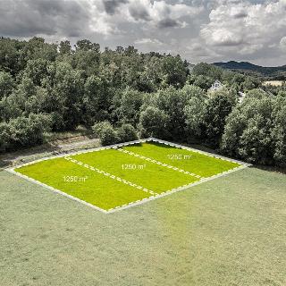 Prodej stavební parcely 1 250 m² Bělá pod Bezdězem