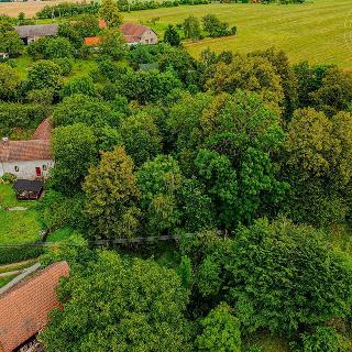 Prodej stavební parcely 1 462 m² Vilémov