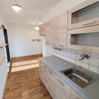 Pronájem bytu 3+1 73 m² Kamenice nad Lipou, Družstevní