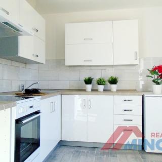 Pronájem bytu 1+1 28 m² Slaný, Rabasova