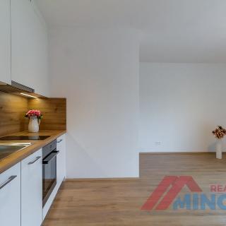 Pronájem bytu 2+kk 42 m² Slaný, Prokopa Holého