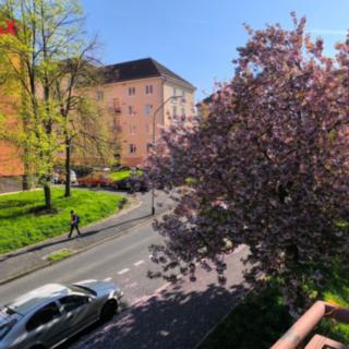 Prodej bytu 1+1 37 m² Sokolov, Heyrovského
