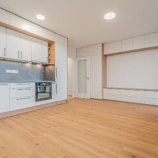 Pronájem bytu 1+kk a garsoniéry 39 m² Praha, Olgy Havlové