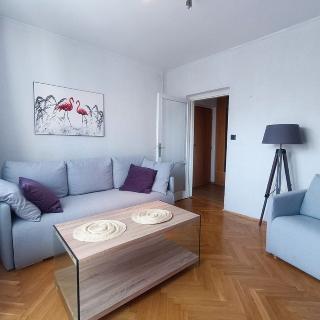 Pronájem bytu 2+1 49 m² Karlovy Vary, Krymská