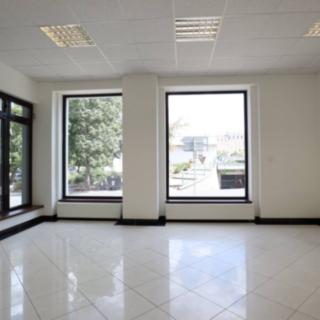 Pronájem Ostatních komerčních prostor 55 m² Karlovy Vary