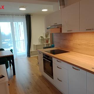 Pronájem bytu 2+kk 39 m² Nová Role, Svobodova