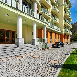 Prodej bytu 4+1 241 m² Karlovy Vary, U Imperiálu