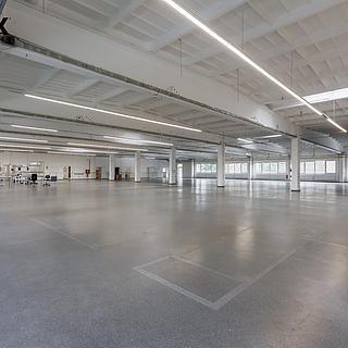 Pronájem výrobního objektu 4503 m&sup2; Chodová Planá