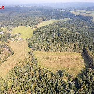 Prodej louky 44 540 m² Krajková