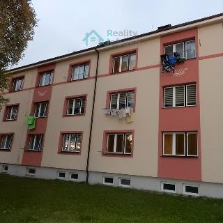 Pronájem bytu 2+1 56 m² Hlinsko, Rubešova