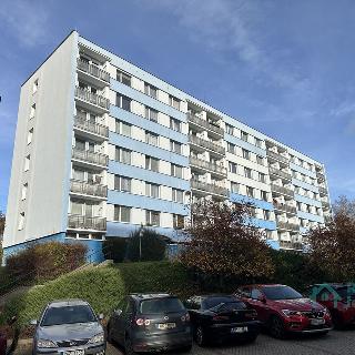 Prodej bytu 3+1 74 m² Trutnov, Kryblická