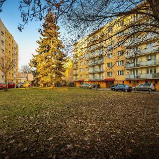 Pronájem bytu 3+1 72 m² České Budějovice, Roudenská