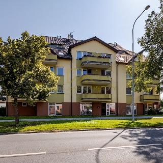 Prodej bytu 3+kk 97 m² České Budějovice, Lidická tř.