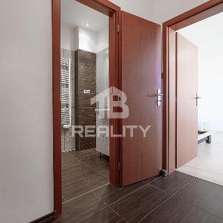 Pronájem bytu 1+kk a garsoniéry 39 m² České Budějovice, A. Kříže