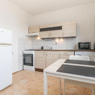 Pronájem bytu 1+1 36 m² Opava, Holasická