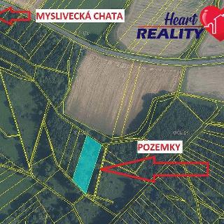 Prodej lesa 3 123 m² Kravaře, Hlučínská