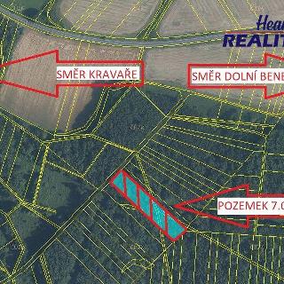 Prodej lesa 7 041 m² Kravaře, Hlučínská