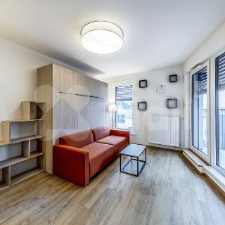 Pronájem bytu 1+kk a garsoniéry 40 m² Praha, Dagmar Burešové