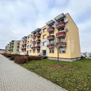 Prodej bytu 2+1 58 m² Letovice, Komenského