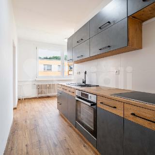 Prodej bytu 2+1 61 m² Ústí nad Labem, Mlýnská