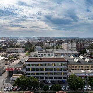 Pronájem kanceláře 100 m² Hradec Králové, Pražská třída