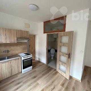 Pronájem bytu 1+kk a garsoniéry 28 m² Fulnek, Masarykova