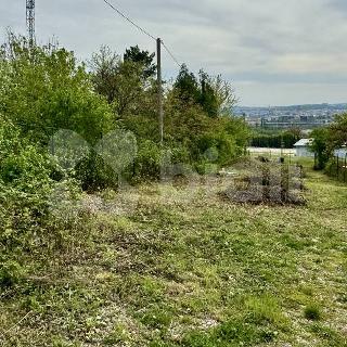 Prodej ostatního pozemku 500 m² Brno, 