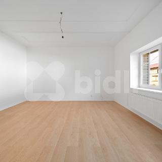 Prodej bytu 3+kk 71 m² Mladé Buky, 