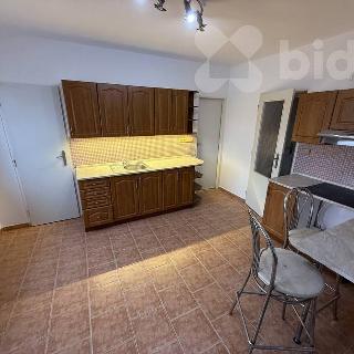 Pronájem bytu 3+1 98 m² Myslejovice