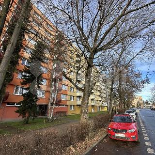 Pronájem bytu 1+1 39 m² České Budějovice, J. Opletala