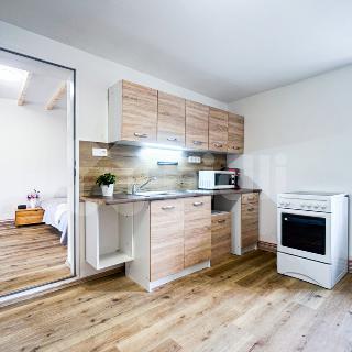 Pronájem bytu 3+1 68 m² Útušice