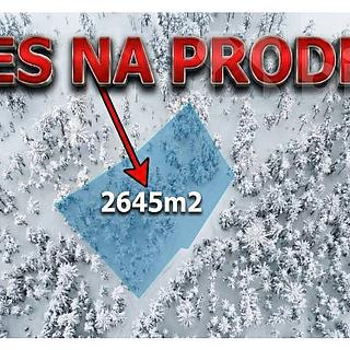 Prodej lesa 2645 m&sup2; Velké Hamry