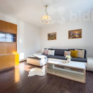 Prodej bytu 1+1 45 m² Holice, Na Mušce