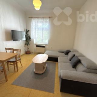 Pronájem bytu 2+1 42 m² České Budějovice 3, Pražská tř.