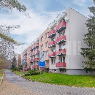 Prodej bytu 3+1 72 m² Brno, Heyrovského