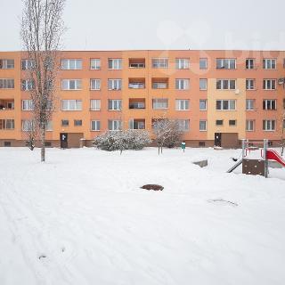 Pronájem bytu 2+1 43 m² Ostrava, Václava Košaře