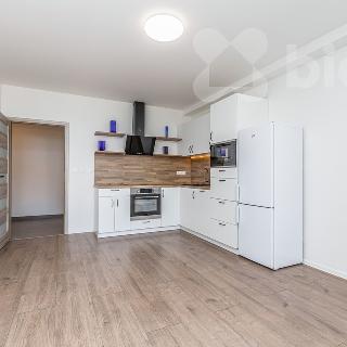 Pronájem bytu 2+kk 47 m² Praha, Toužimská