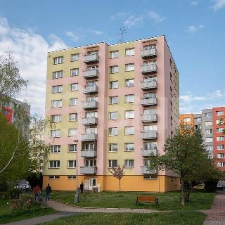 Prodej bytu 4+1 76 m² České Budějovice, Dlouhá